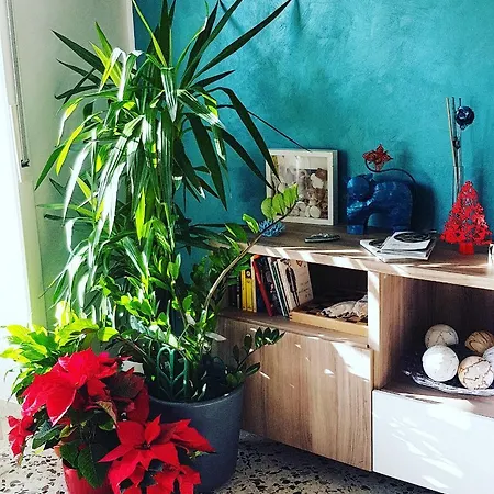 Casa Luisa Frühstückspension 2*